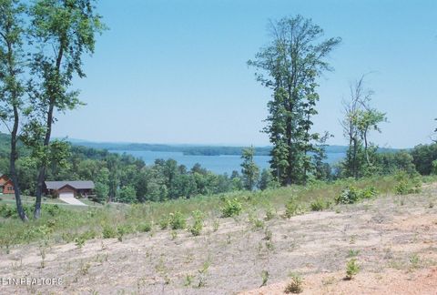 Tiny photo for 52 Taylor Way/Fooshee Pass #52, Ten Mile, TN 37880 (MLS # 1333495)