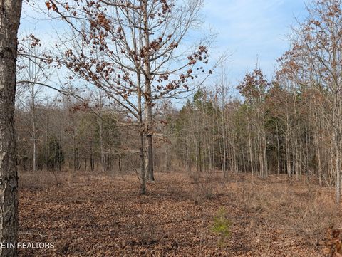 Tiny photo for 52 Taylor Way/Fooshee Pass #52, Ten Mile, TN 37880 (MLS # 1333495)