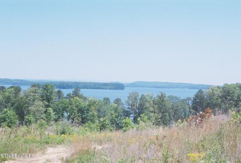 Tiny photo for 52 Taylor Way/Fooshee Pass #52, Ten Mile, TN 37880 (MLS # 1333495)