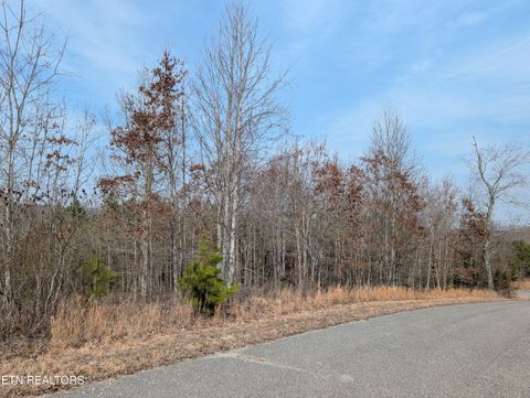 Tiny photo for 52 Taylor Way/Fooshee Pass #52, Ten Mile, TN 37880 (MLS # 1333495)