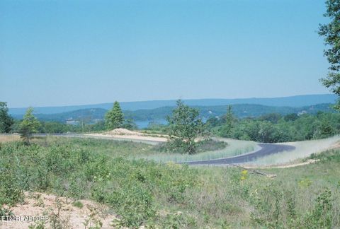 Tiny photo for 52 Taylor Way/Fooshee Pass #52, Ten Mile, TN 37880 (MLS # 1333495)