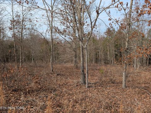 Tiny photo for 52 Taylor Way/Fooshee Pass #52, Ten Mile, TN 37880 (MLS # 1333495)