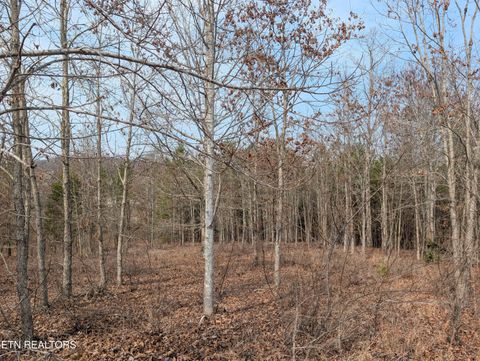 Tiny photo for 52 Taylor Way/Fooshee Pass #52, Ten Mile, TN 37880 (MLS # 1333495)