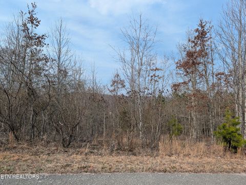 Tiny photo for 52 Taylor Way/Fooshee Pass #52, Ten Mile, TN 37880 (MLS # 1333495)