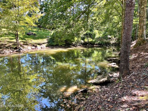 Tiny photo for 282 White Oak Drive, Decatur, TN 37322 (MLS # 1315878)