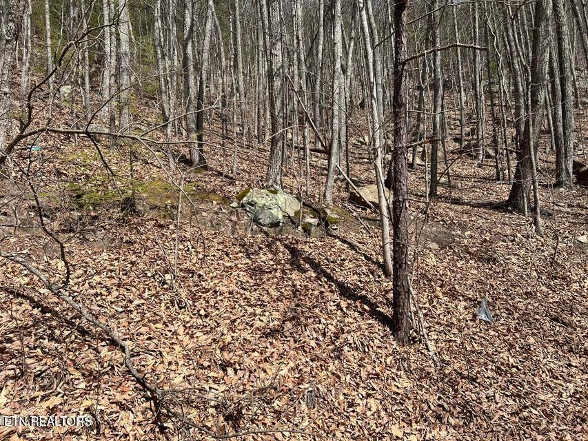 Clingmans View Lot 18