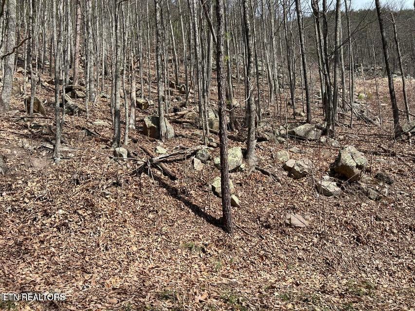 Clingmans View Lot 18