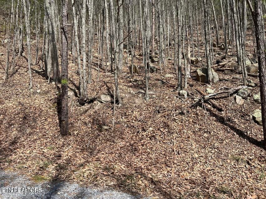 Clingmans View Lot 18