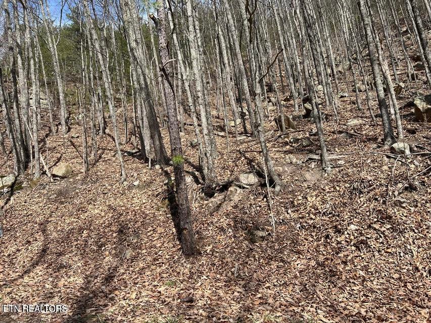 Clingmans View Lot 18