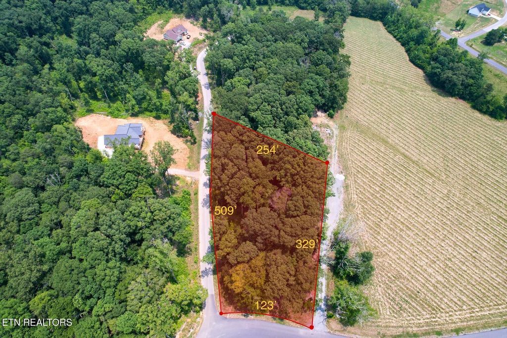 Photo of 7 Douglas Ridge Drive, Dandridge, TN 37725 (MLS # 1285549)