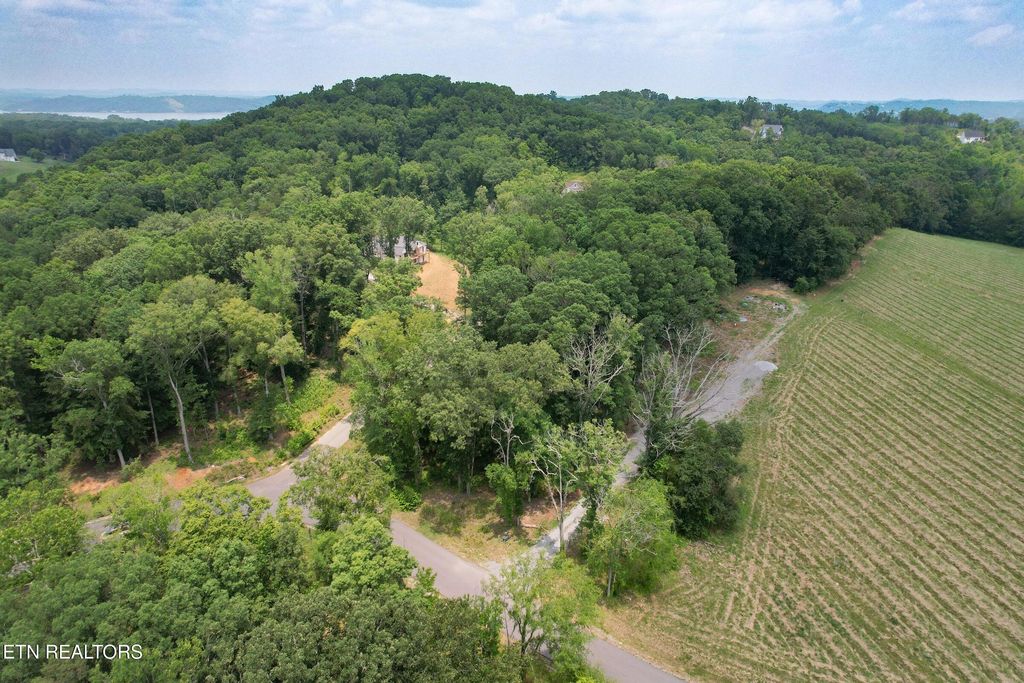 Photo of 7 Douglas Ridge Drive, Dandridge, TN 37725 (MLS # 1285549)