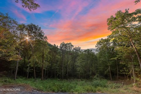 Overholt Tr Sevierville TN 37862