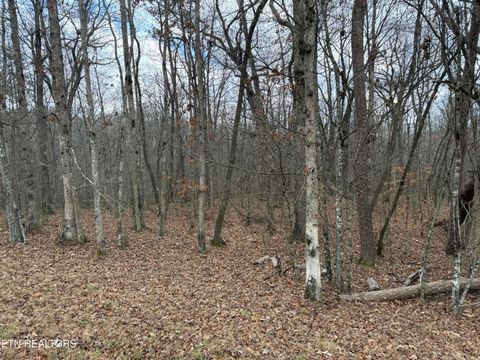 Photo of Cumberland Lakes Drive, Monterey, TN 38574 (MLS # 1325791)
