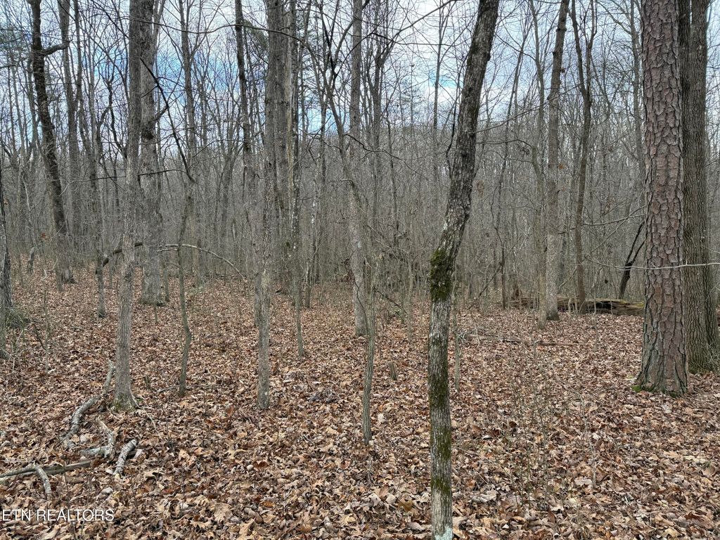 Photo of Cumberland Lakes Drive, Monterey, TN 38574 (MLS # 1325791)