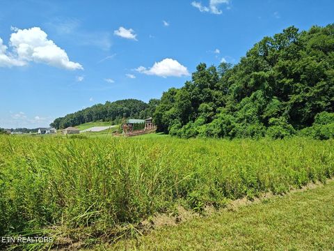 Tiny photo for Espalier Drive #72, Decatur, TN 37322 (MLS # 1341954)