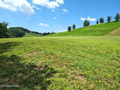 Tiny photo for Espalier Drive #72, Decatur, TN 37322 (MLS # 1341954)