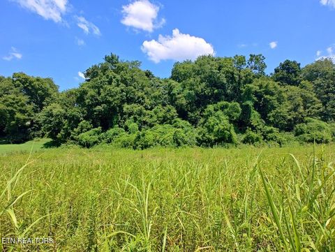 Tiny photo for Espalier Drive #72, Decatur, TN 37322 (MLS # 1341954)