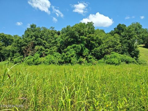Tiny photo for Espalier Drive #72, Decatur, TN 37322 (MLS # 1341954)