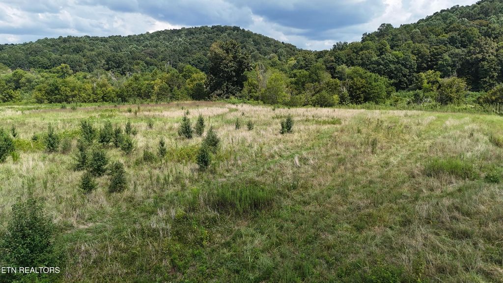 Photo of 0 County Road 60, Riceville, TN 37370 (MLS # 1333074)