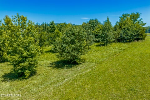 Tiny photo for 271 W Shore Drive, Rockwood, TN 37854 (MLS # 1347896)