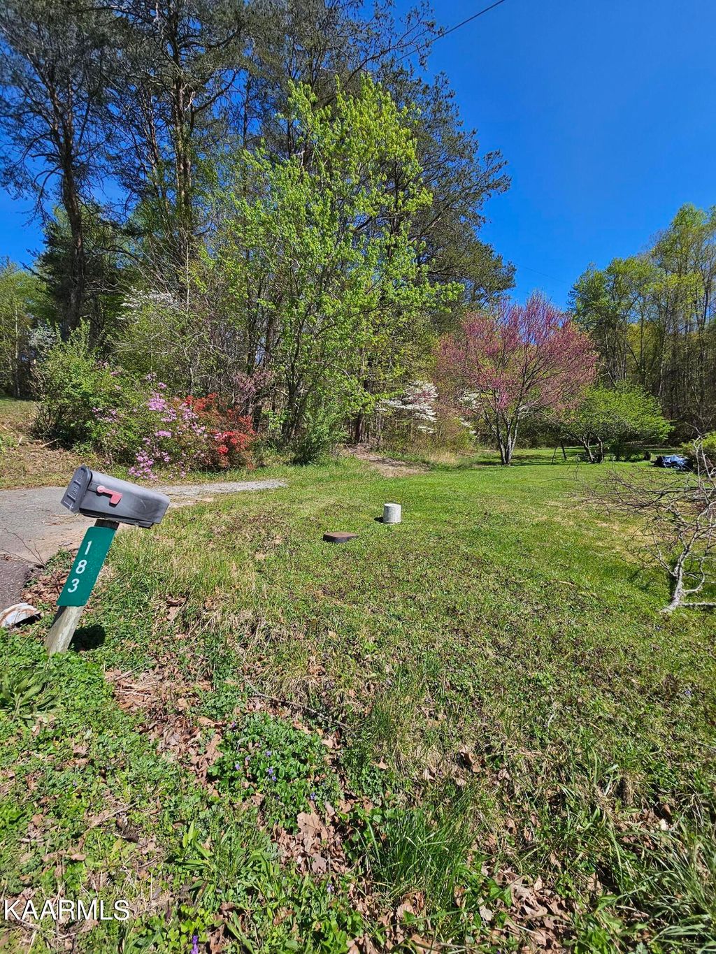 Photo of 183 Foust Hollow Rd, Heiskell, TN 37754 (MLS # 1224068)