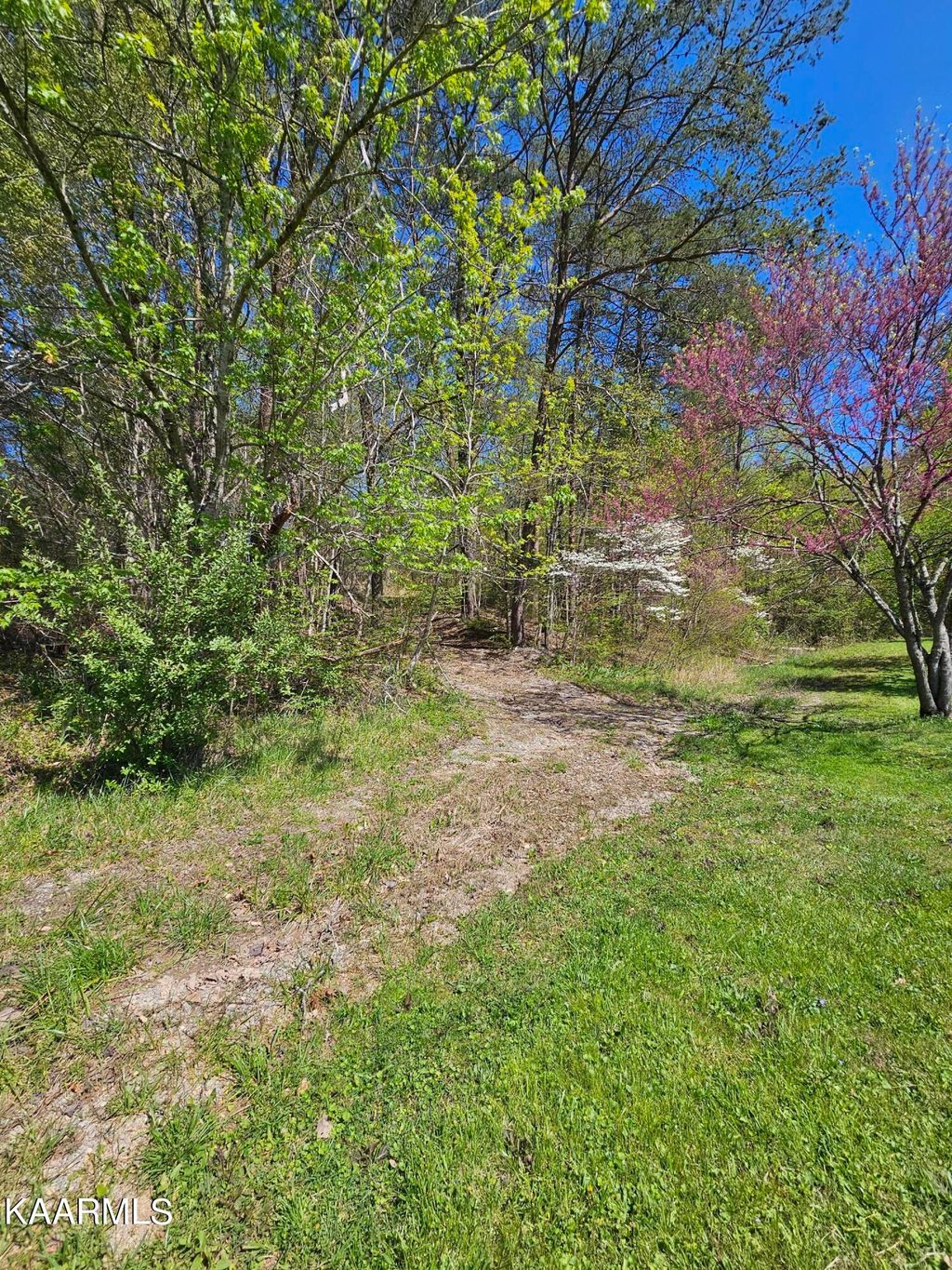 Photo of 183 Foust Hollow Rd, Heiskell, TN 37754 (MLS # 1224068)