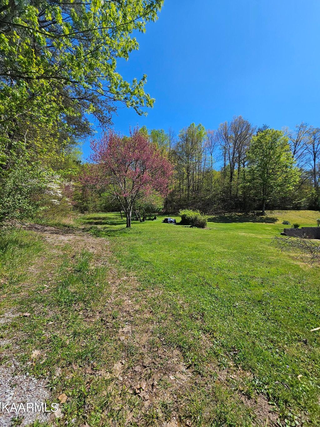 Photo of 183 Foust Hollow Rd, Heiskell, TN 37754 (MLS # 1224068)
