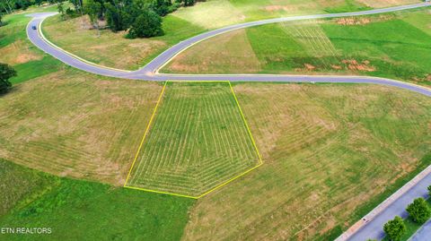 Tiny photo for 295 Inlet Cove, Morristown, TN 37814 (MLS # 1334793)