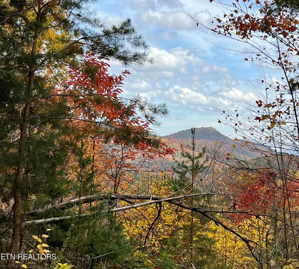 Photo of 79 Long Rifle Rd, Walland, TN 37886 (MLS # 1247735)