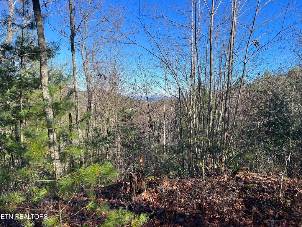 Photo of 79 Long Rifle Rd, Walland, TN 37886 (MLS # 1247735)