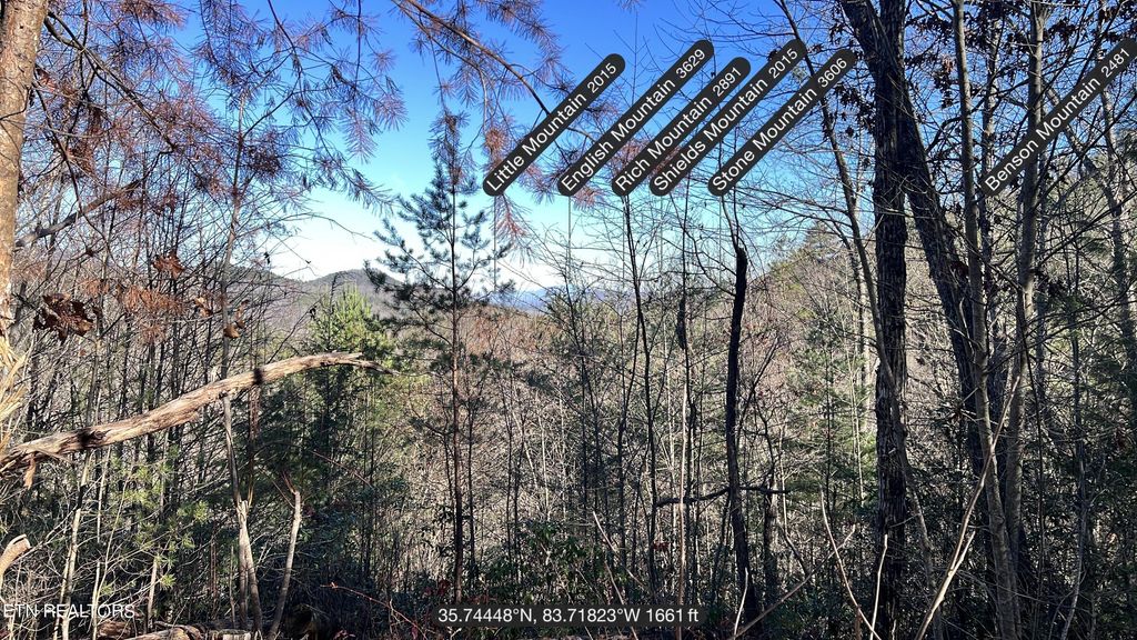 Photo of 79 Long Rifle Rd, Walland, TN 37886 (MLS # 1247735)