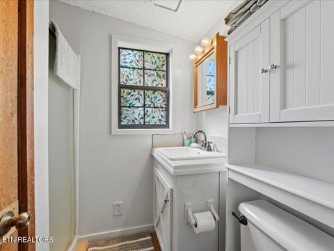 Tiny photo for 171 Burnett Drive, Rutledge, TN 37861 (MLS # 1337215)