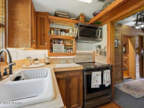 Tiny photo for 171 Burnett Drive, Rutledge, TN 37861 (MLS # 1337215)