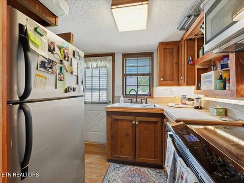 Tiny photo for 171 Burnett Drive, Rutledge, TN 37861 (MLS # 1337215)