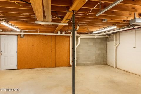 Tiny photo for 355 Laurel Way, Cosby, TN 37722 (MLS # 1321823)