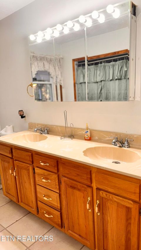 Tiny photo for 355 Laurel Way, Cosby, TN 37722 (MLS # 1321823)