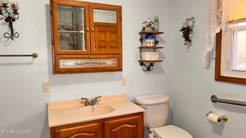 Tiny photo for 355 Laurel Way, Cosby, TN 37722 (MLS # 1321823)