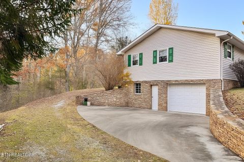 Photo of 355 Laurel Way, Cosby, TN 37722 (MLS # 1321823)
