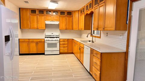 Tiny photo for 355 Laurel Way, Cosby, TN 37722 (MLS # 1321823)