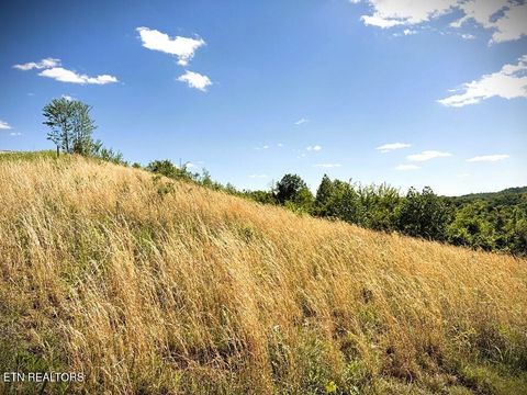 Photo of 100 Mallard Lane, Hilham, TN 38568 (MLS # 1338602)