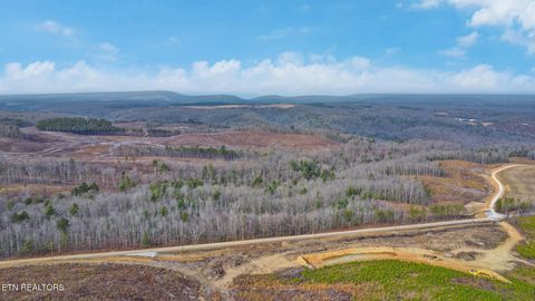 Tiny photo for Possom Trot Rd. - Tract 13, Grandview, TN 37337 (MLS # 1326754)