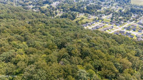 Tiny photo for 211 Jason Hovater Way, Clinton, TN 37716 (MLS # 1325854)