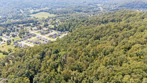 Tiny photo for 211 Jason Hovater Way, Clinton, TN 37716 (MLS # 1325854)