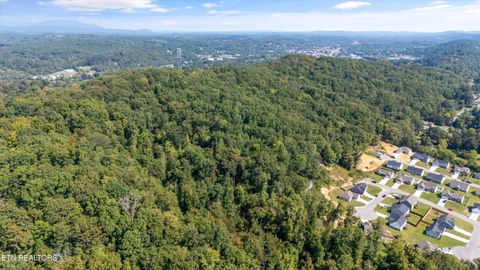 Tiny photo for 211 Jason Hovater Way, Clinton, TN 37716 (MLS # 1325854)