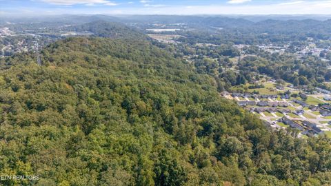 Tiny photo for 211 Jason Hovater Way, Clinton, TN 37716 (MLS # 1325854)