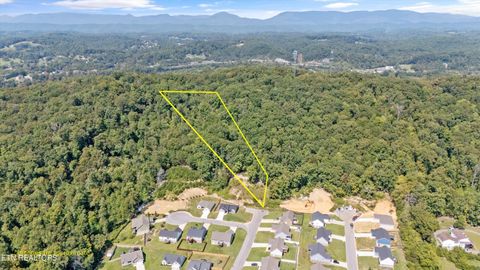 Tiny photo for 211 Jason Hovater Way, Clinton, TN 37716 (MLS # 1325854)
