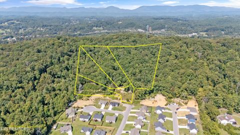 Tiny photo for 211 Jason Hovater Way, Clinton, TN 37716 (MLS # 1325854)
