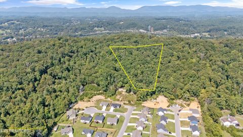 Tiny photo for 211 Jason Hovater Way, Clinton, TN 37716 (MLS # 1325854)