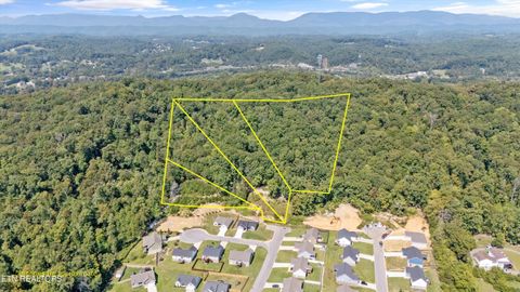 Tiny photo for 211 Jason Hovater Way, Clinton, TN 37716 (MLS # 1325854)