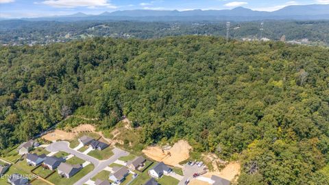 Tiny photo for 211 Jason Hovater Way, Clinton, TN 37716 (MLS # 1325854)